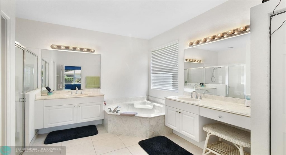LARGE PRIMARY BATHROOM