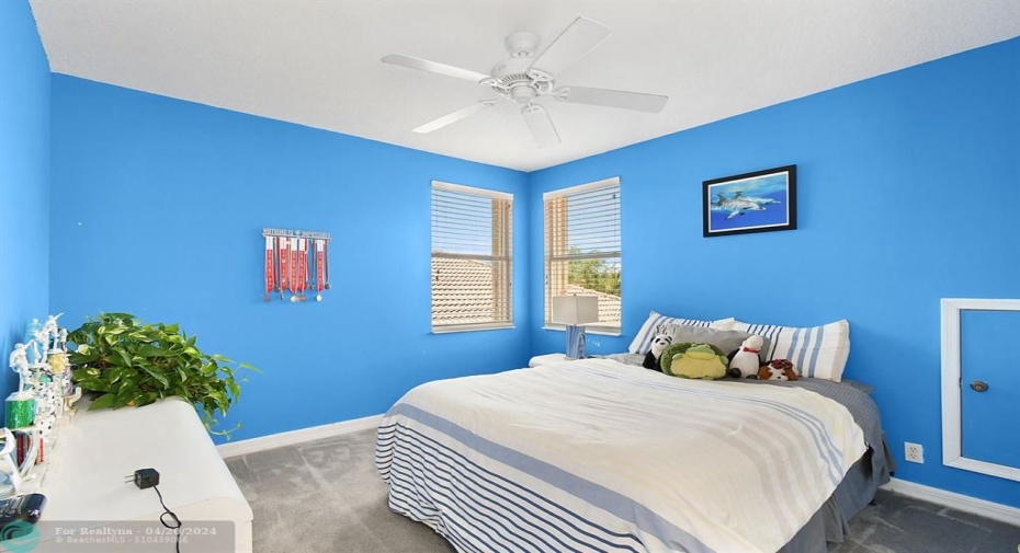 HAS A SPECIAL ACCESS TO ATTIC