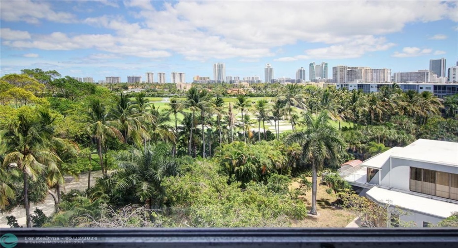 View from your sreened in terrace penthouse floor