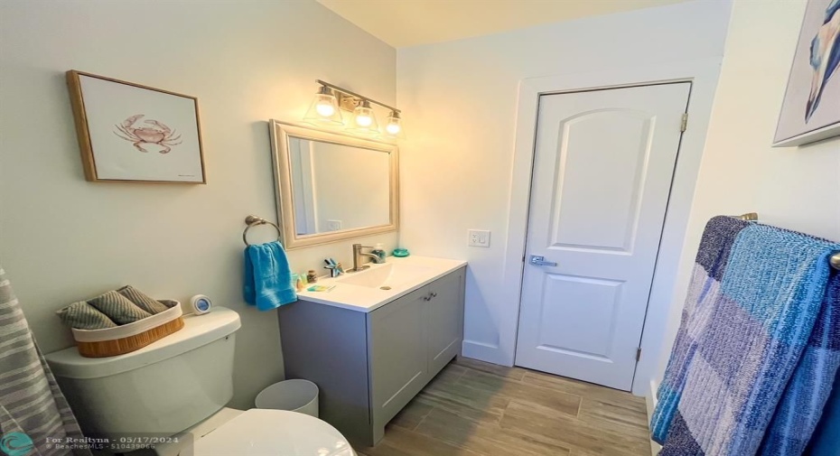 Guest bath