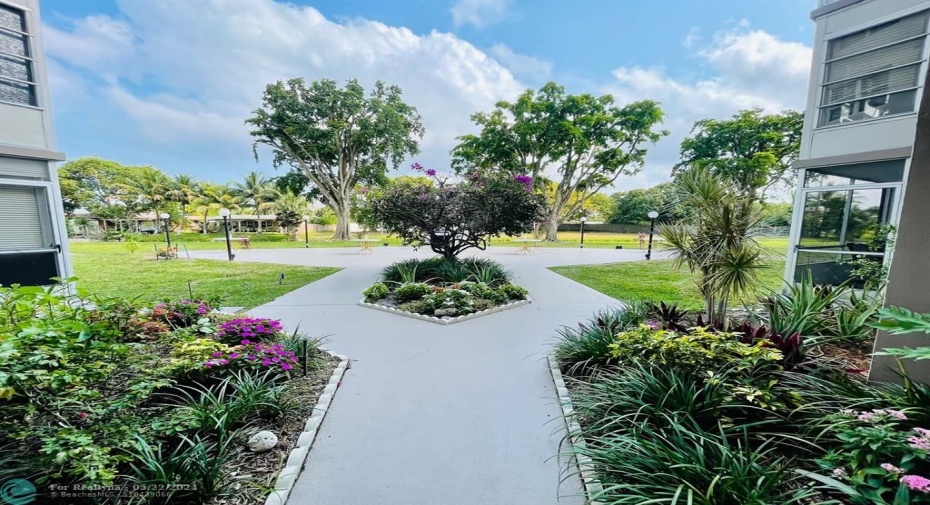 Picnic Area