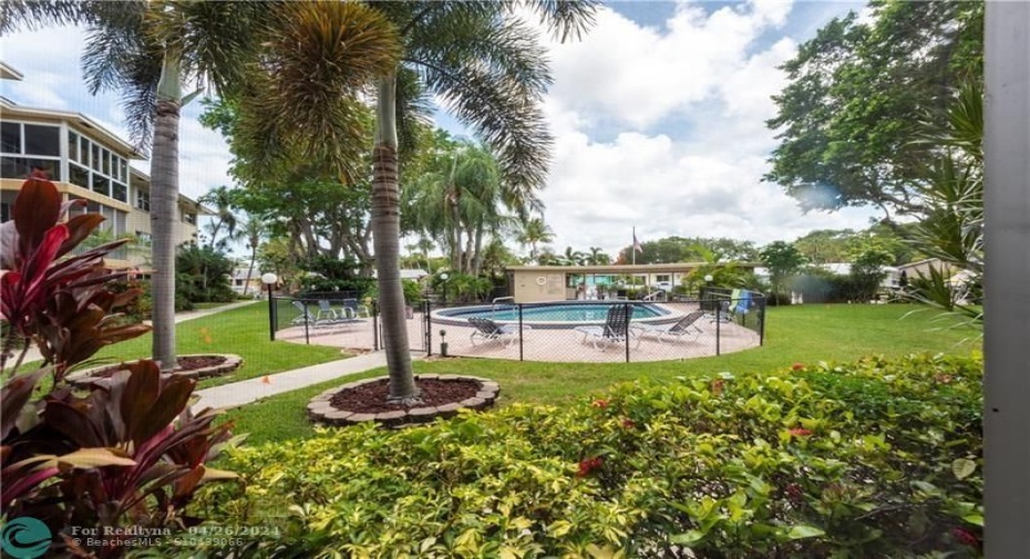 lush tropical landscaping