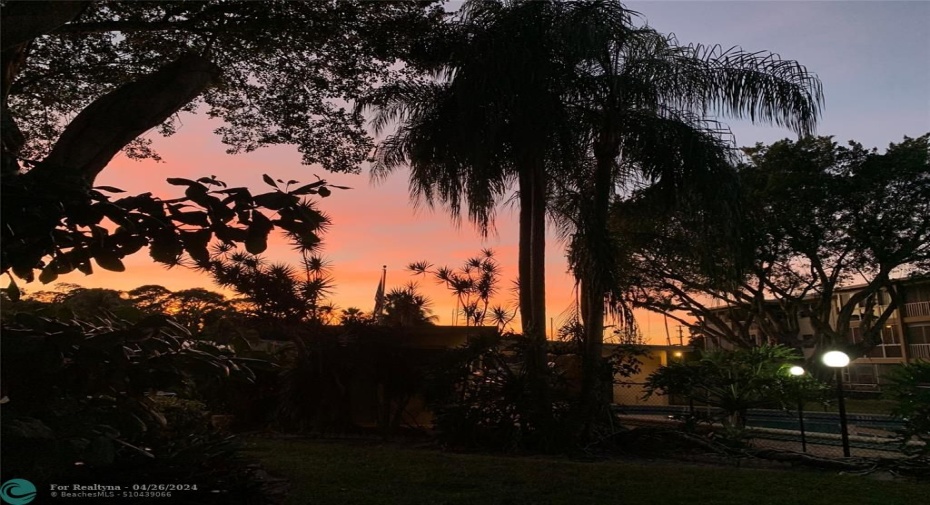 Spectacular sunsets