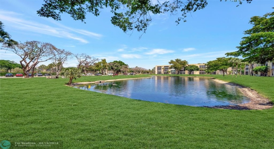 Greenspace & Water Next To Unit