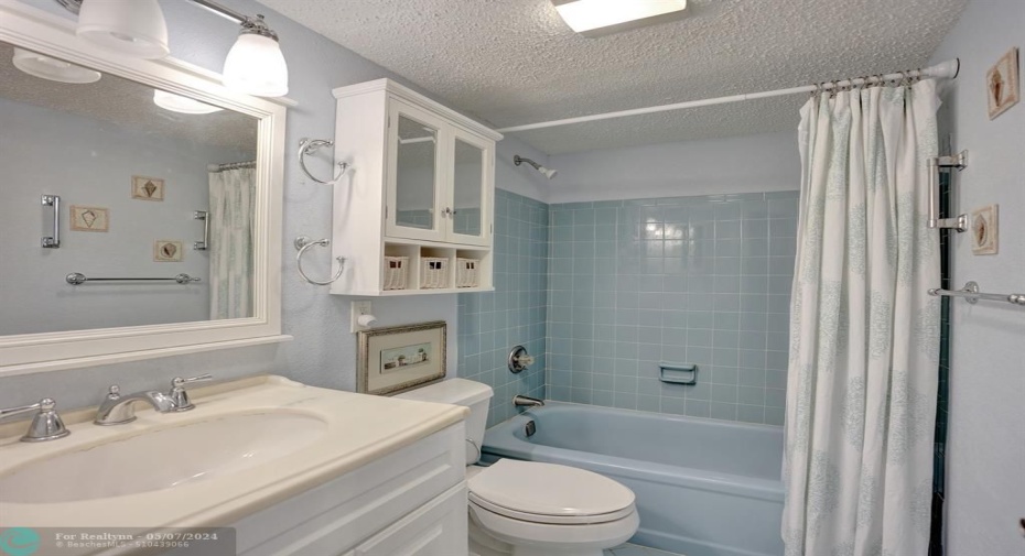 Master Bath, New Vanity/Fixtures, Toilet