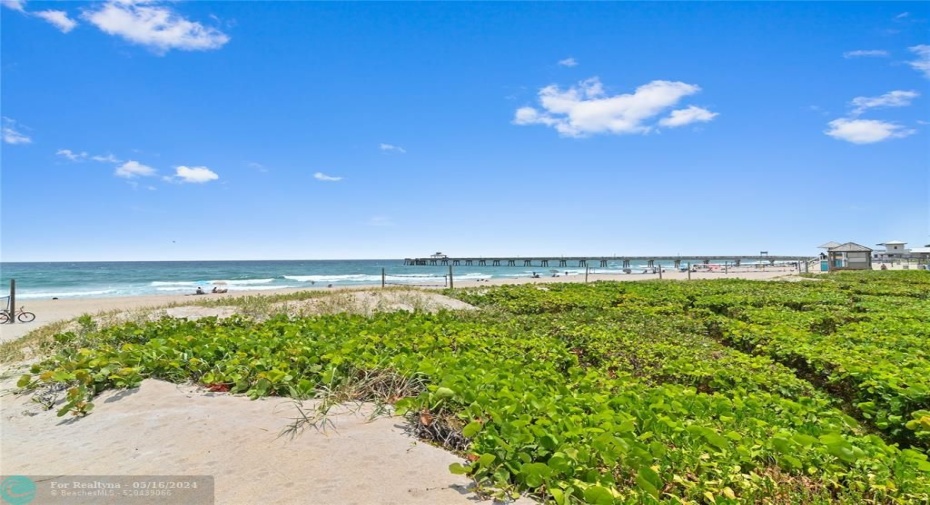 Pristine Beach, life guard, volley ball, fishing pier