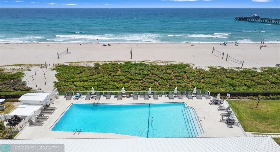 Your private club at the beach