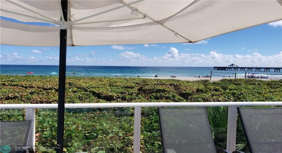 Private beach club included