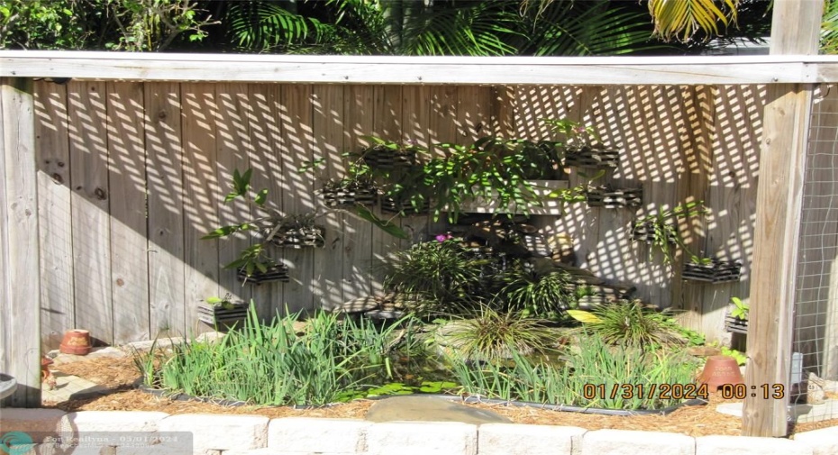 Includes several species of fish