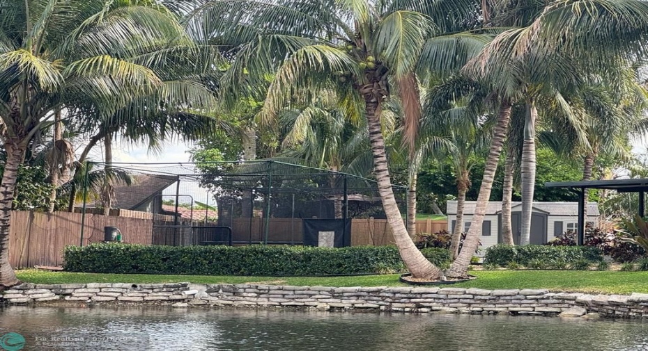 Exterior Yard