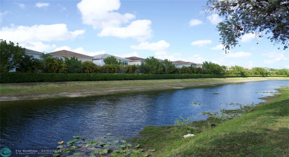 Lake side view