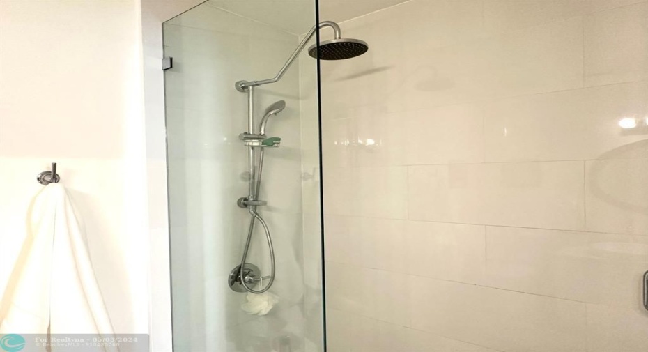 Master Bath Shower