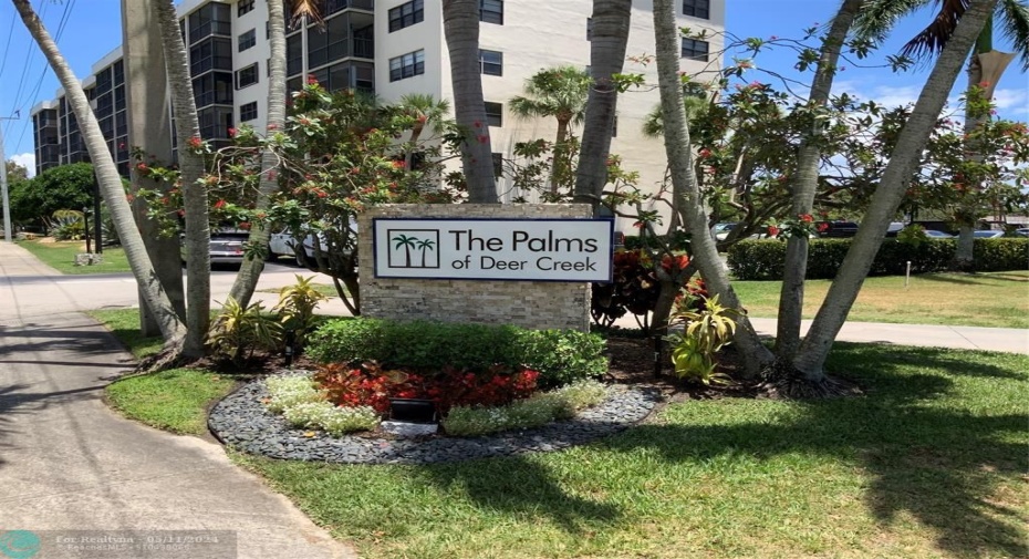 The Palms