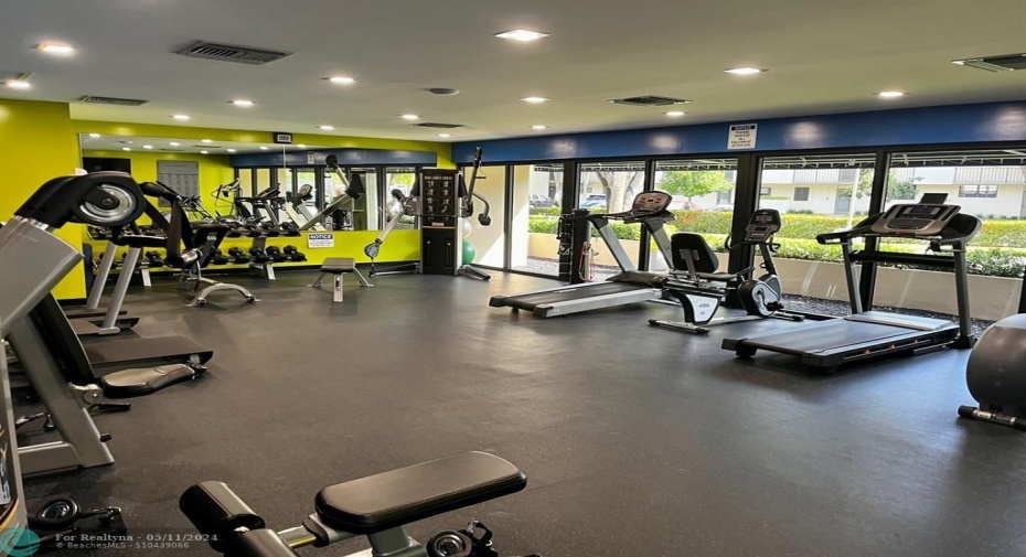 Gym