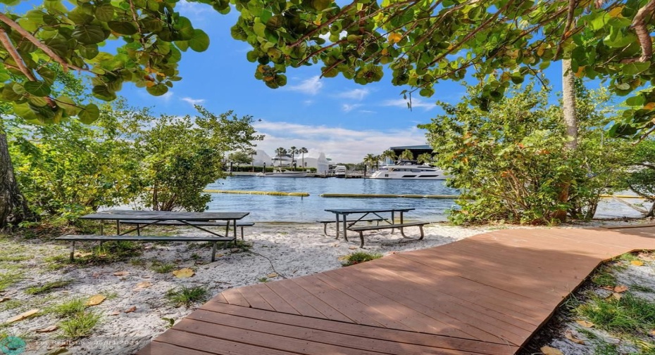 Passive Nature Park to Enjoy