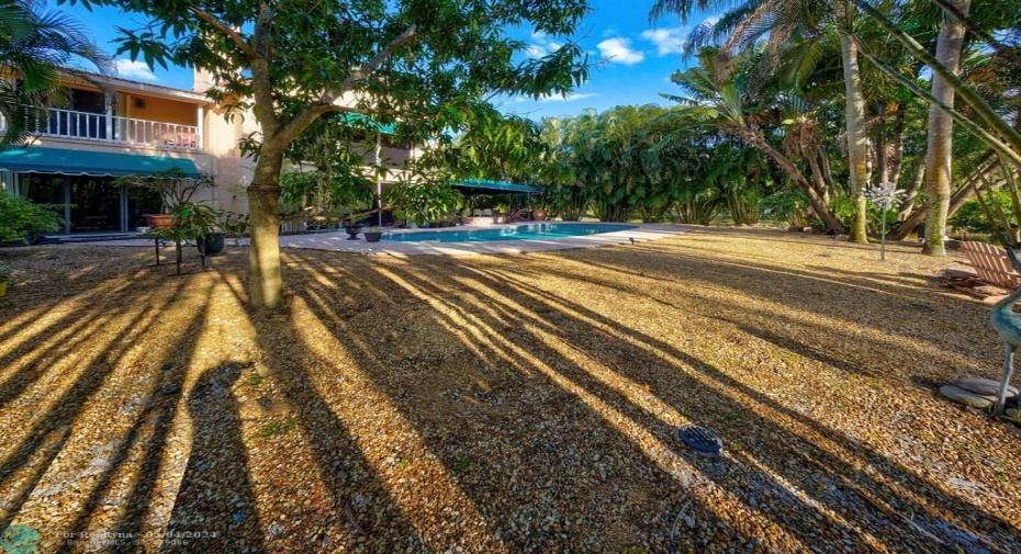 Almost a half-acre of land for children and pets to roam