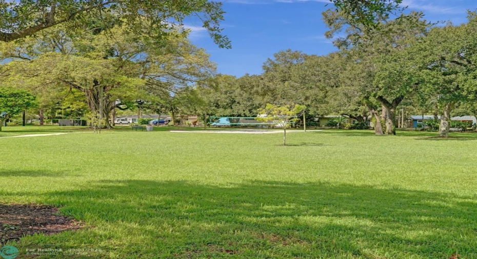 Volleyball Court