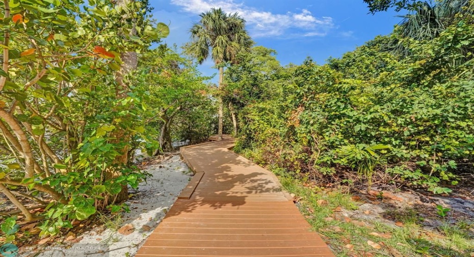 Enjoy nature walks along the boardwalks
