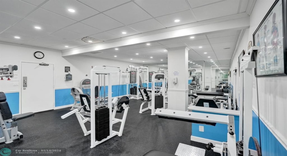 gym