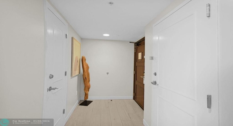 Entrance hall with owner's closet on the left and the door to an adjoining suite on the right.