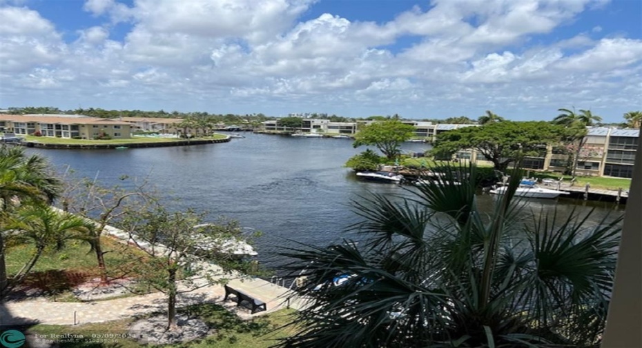 The view from your Condo