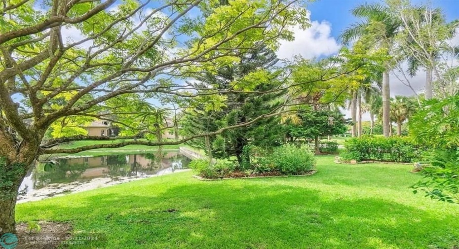 Back garden on lake