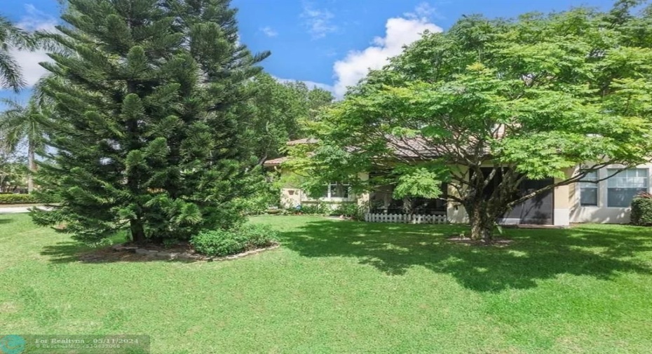 Back garden, not fenced in