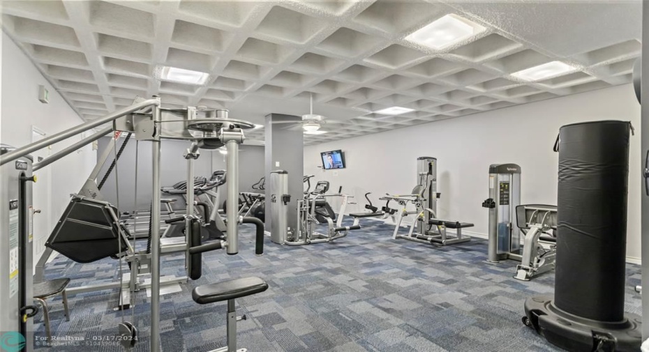 GYM