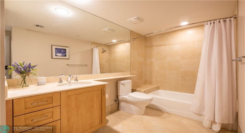 Guest bath