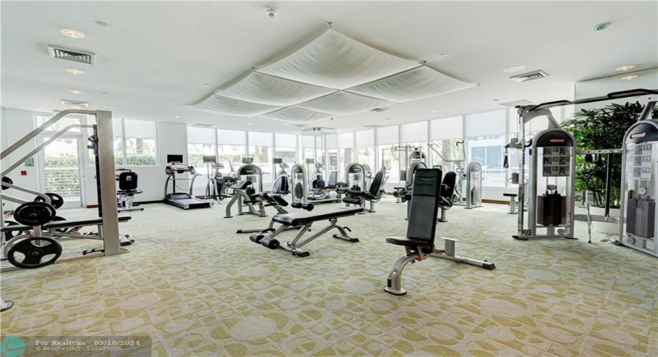 Gym