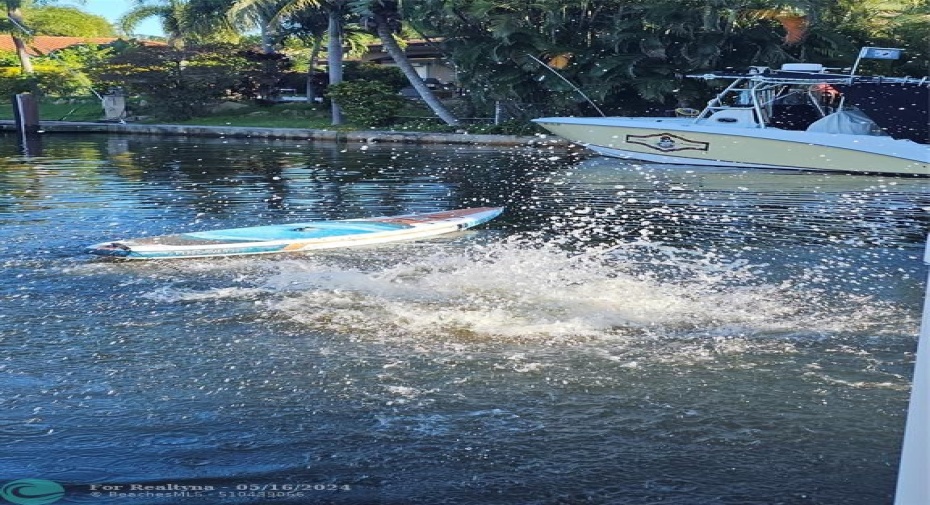 Paddle Boarding off the Dock!  Almost!