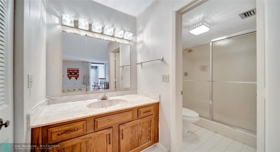Master Bathroom Vanity, Toilet & Shower