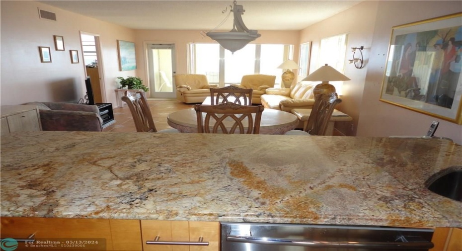 LONG VIEW FROM OPEN KITCHEN