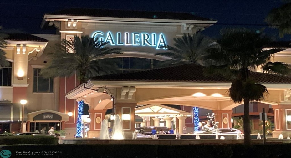 Publix & Galleria (0.2mi)