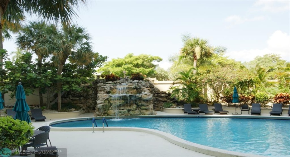 Pool in a Tropical Setting