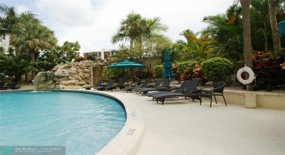 Pool in a Tropical Setting