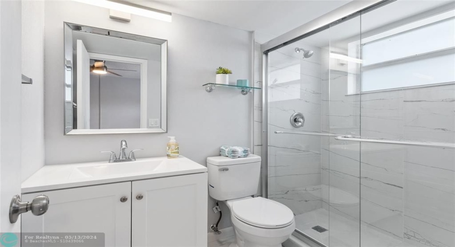 New designer step in shower-new toilet and vanity