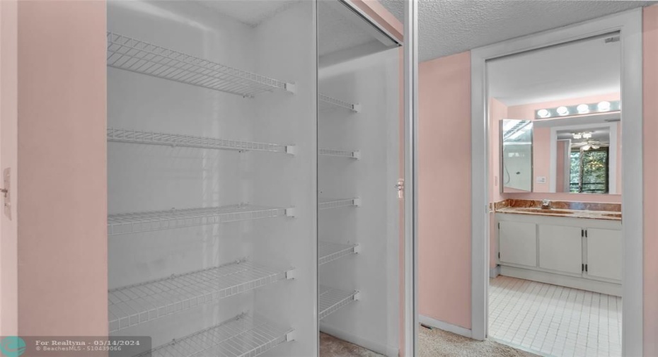 one of Three closets in Owner's BedroomPerfect for Linens!
