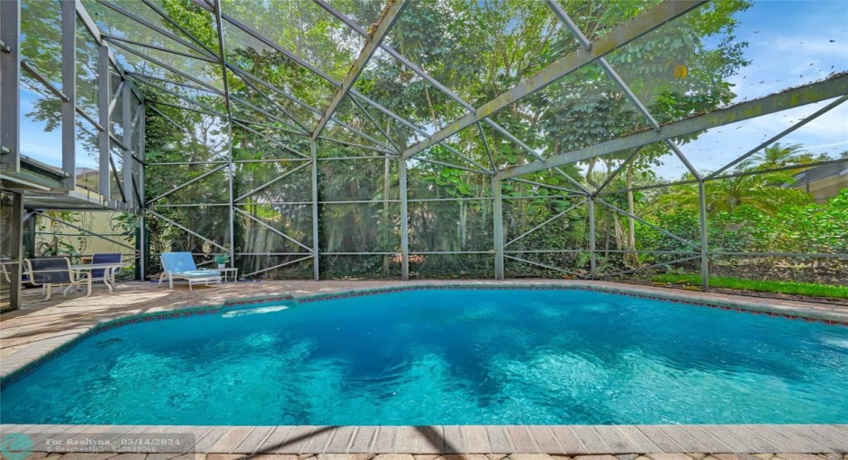 Screened-In Patio & Pool