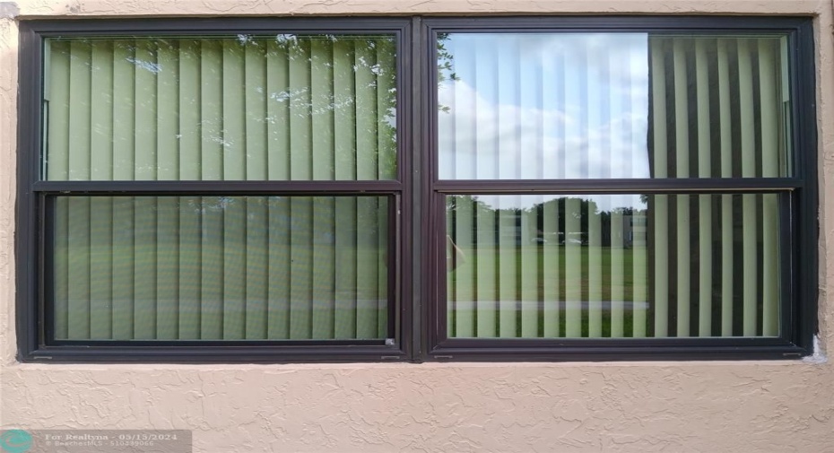 Hurricane Impact Windows