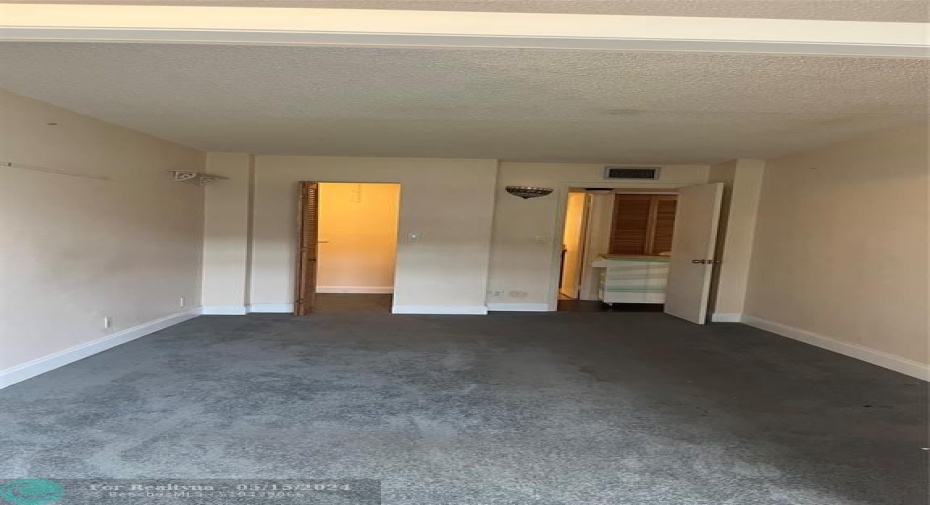 Large Master Bedroom with walk-in closet