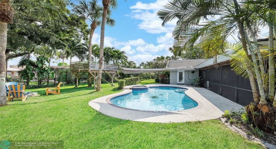Pool and back