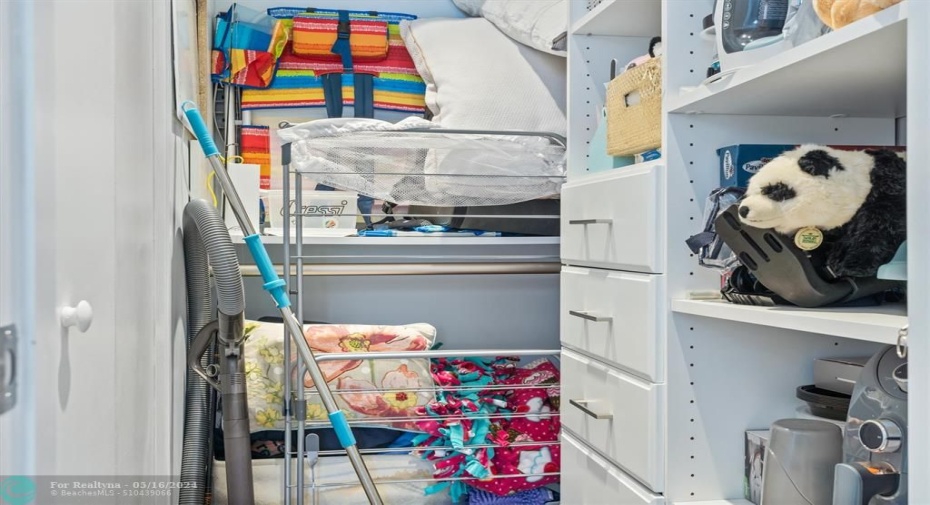 Guest Bedroom Walk In Closet