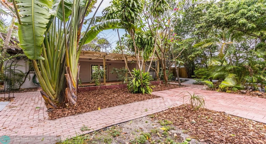 Backyard