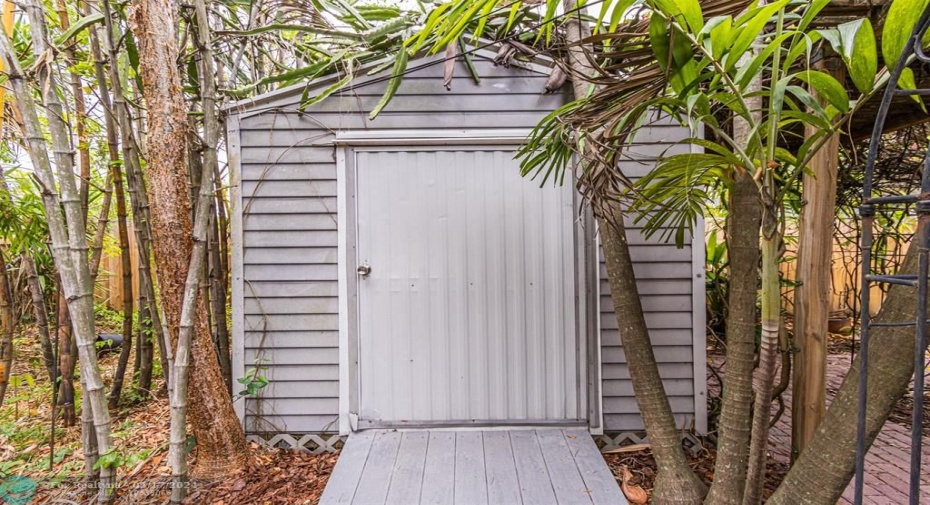 Shed