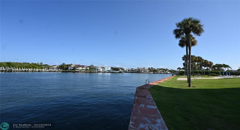 View from the Seawall