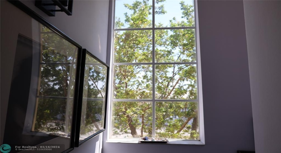 3rd floor view