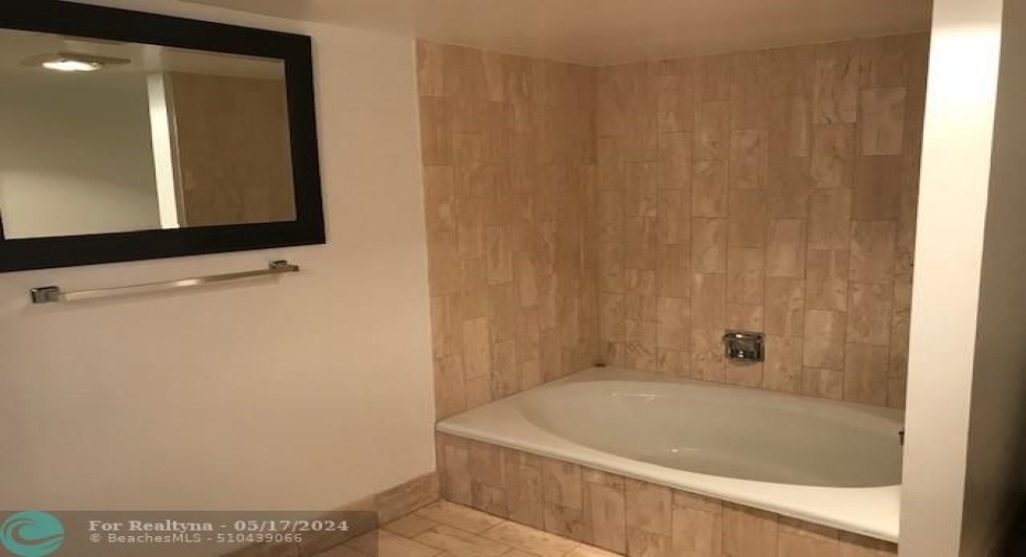 Master bathroom