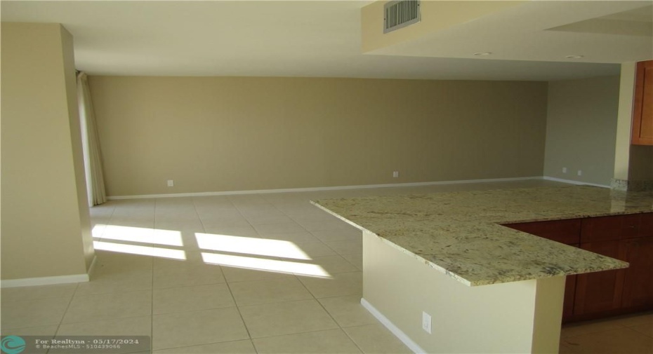 Open Living room/kitchen/dining