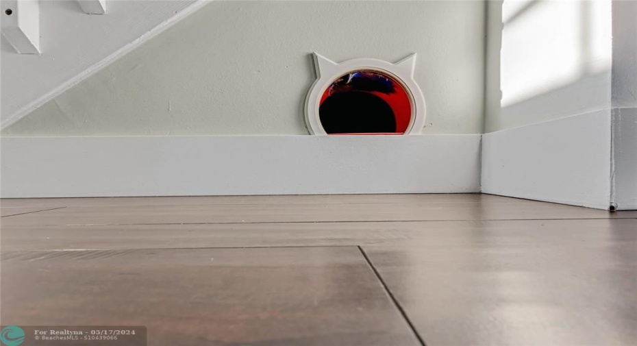 Storage under the Stair -- unique pet entrance